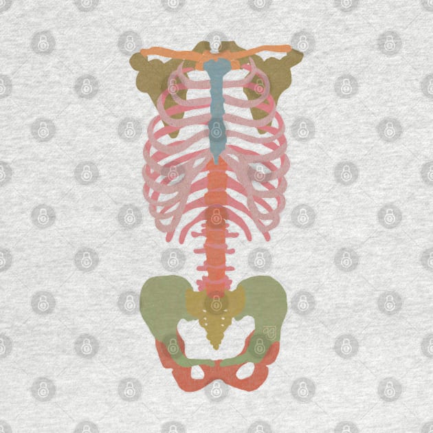 Pastel Skeleton by Mayfully